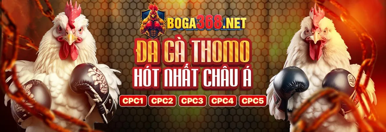 Các sản phẩm giải trí khác tại Keo88 Chính Thức